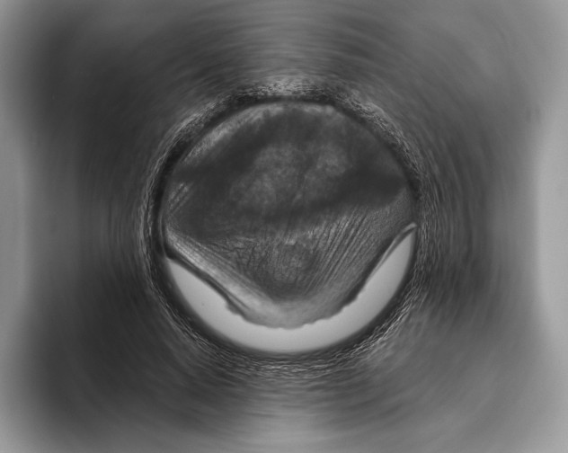 X0000095960640200802081318