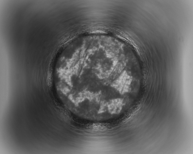 X0000095960641200802081318