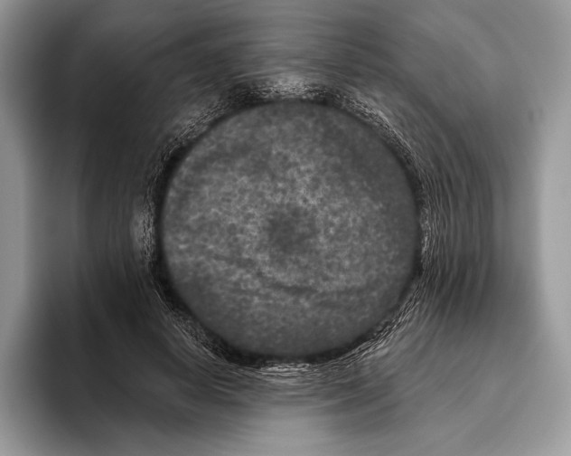 X0000095960642200802081318