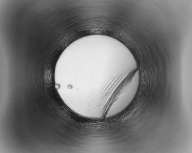 X0000095960646200802081318