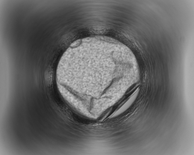 X0000095960647200802081318