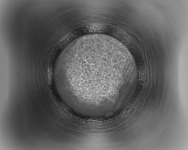 X0000095960648200802081318