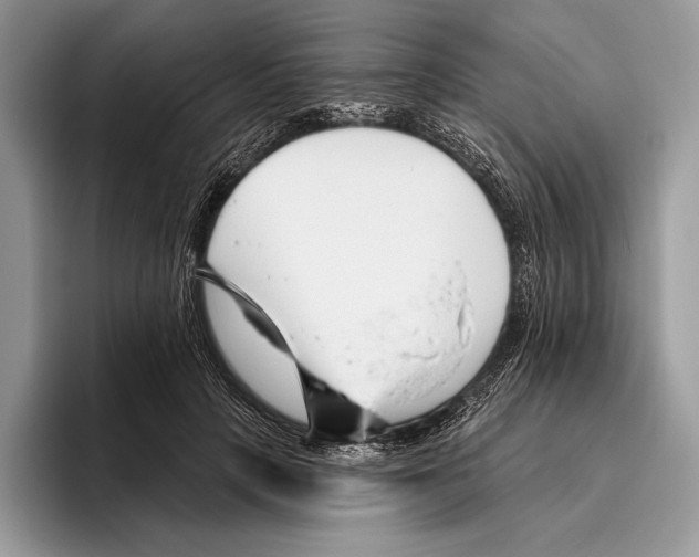 X0000095960649200802081318
