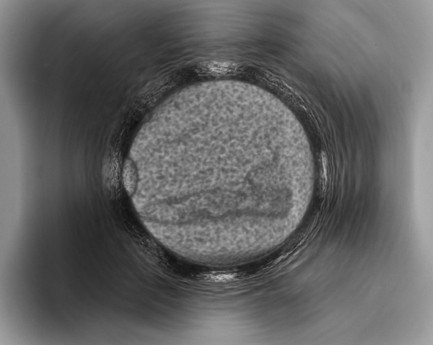 X0000095960651200802081318