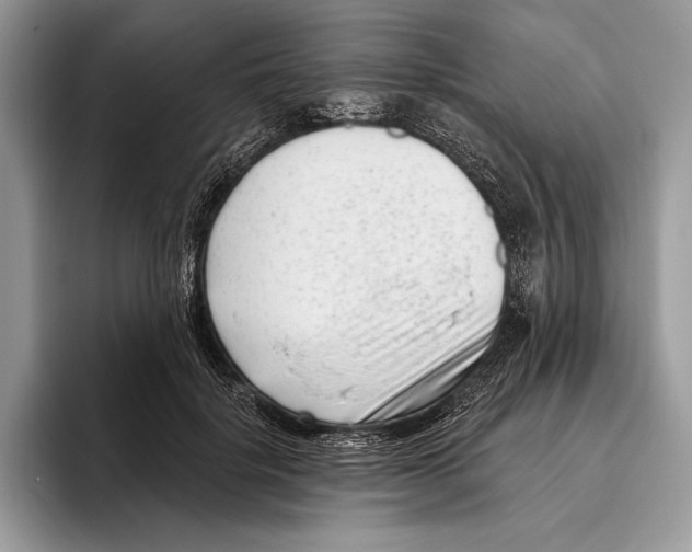 X0000095960652200802081318