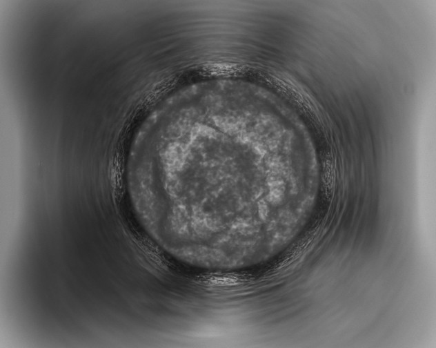 X0000095960653200802081318