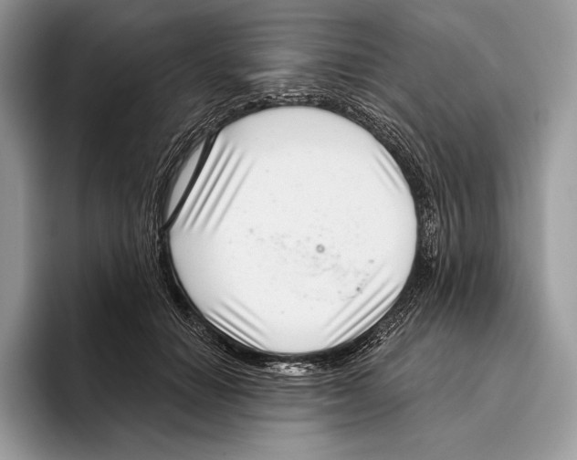 X0000095960654200802081318