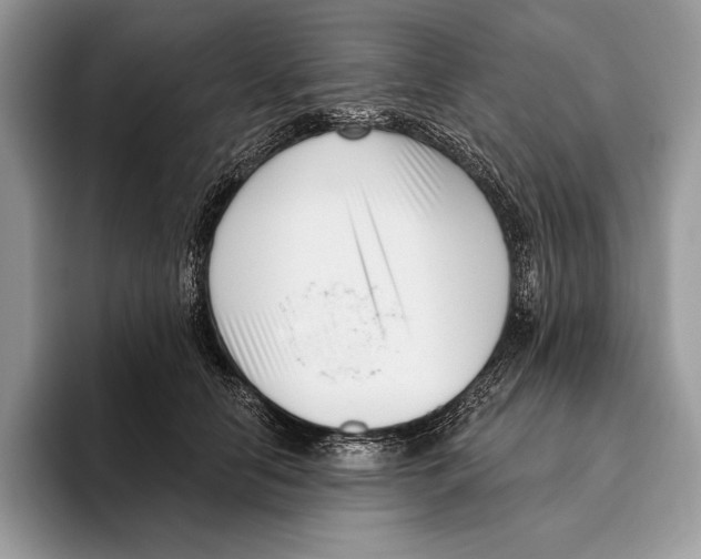 X0000095960658200802081318