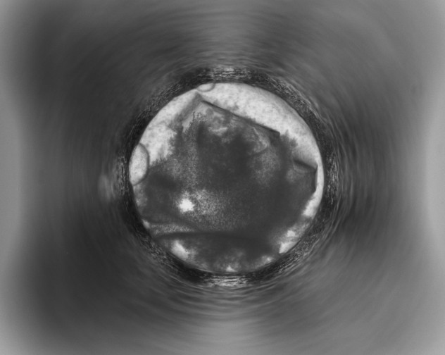 X0000095960659200802081318