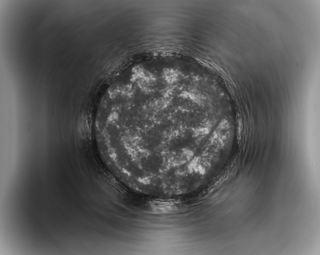 X0000095960661200802081318
