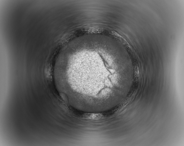 X0000095960663200802081318