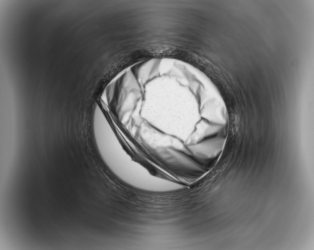 X0000095960664200802081318