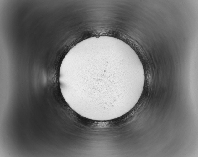 X0000095960665200802081318