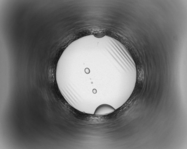 X0000095960666200802081318