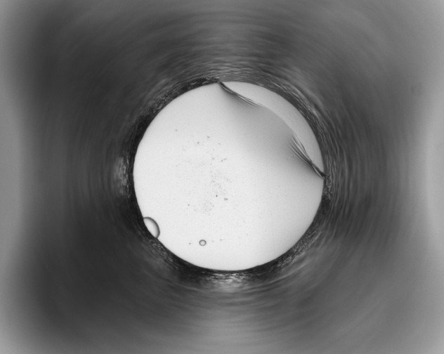 X0000095960667200802081318