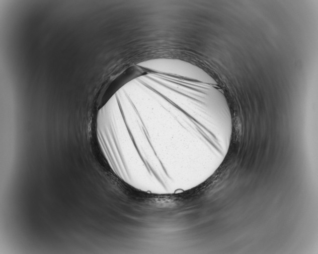 X0000095960668200802081318