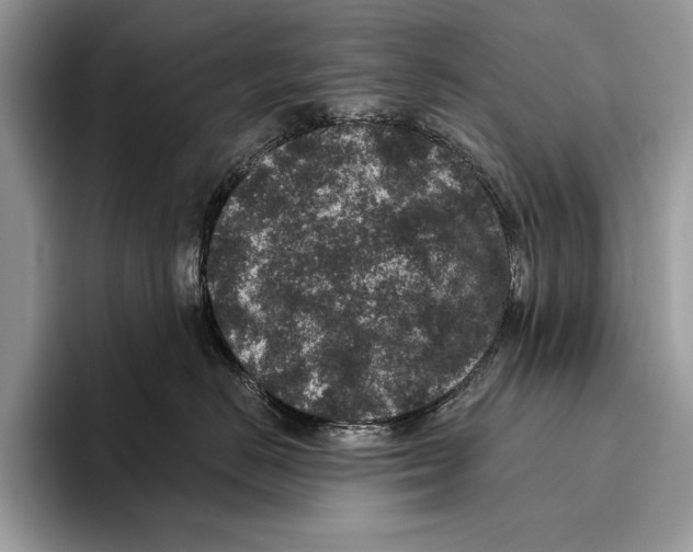 X0000095960670200802081318