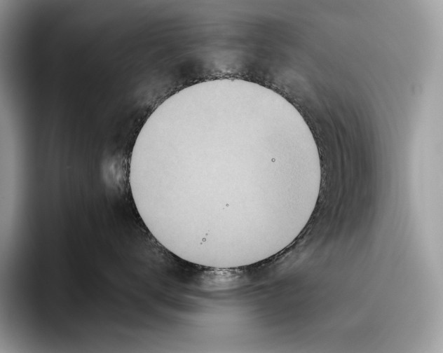X0000095960672200802081318