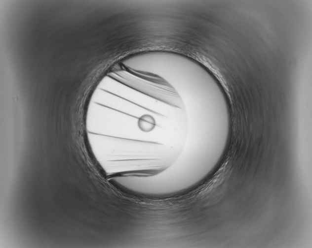 X0000095960673200802081318