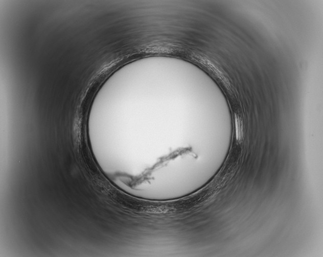 X0000095960675200802081318