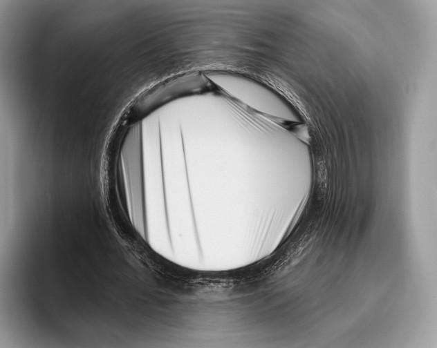 X0000095960676200802081318