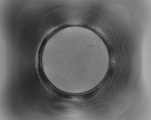 X0000095960678200802081318