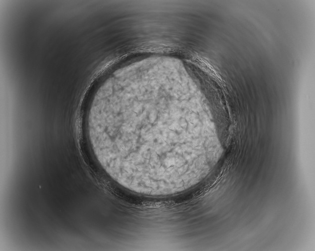 X0000095960679200802081318