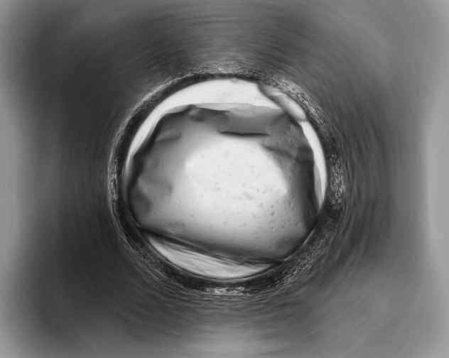 X0000095960680200802081318