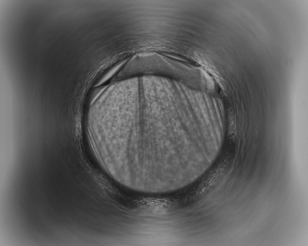 X0000095960681200802081318