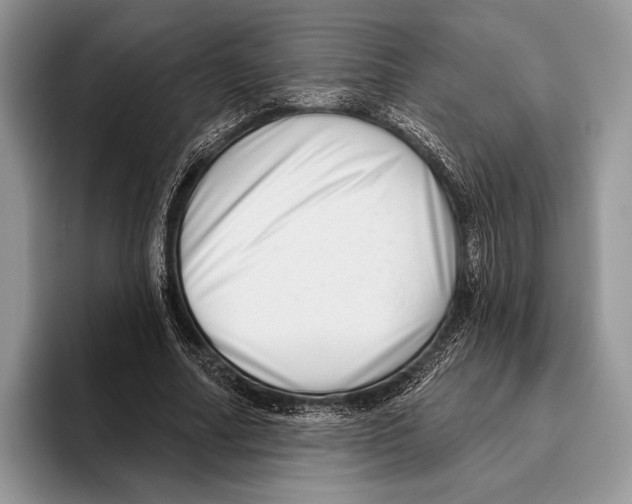 X0000095960682200802081318