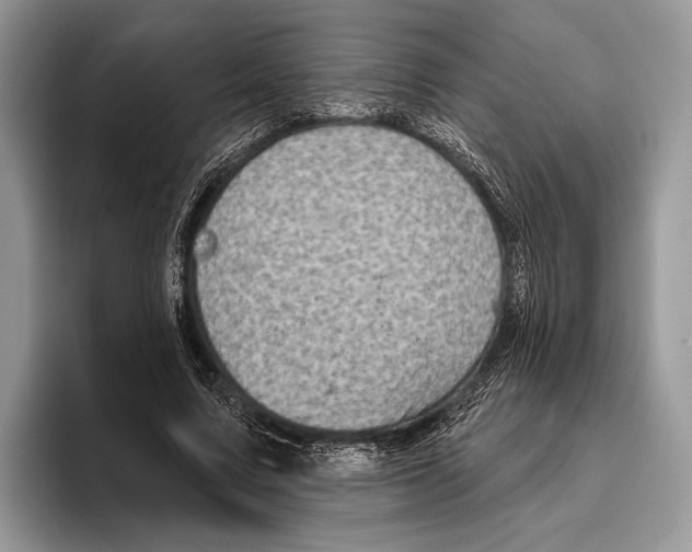 X0000095960683200802081318