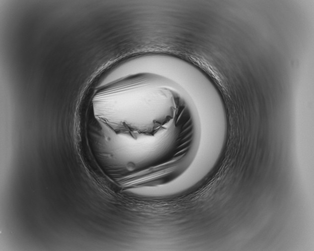 X0000095960684200802081318