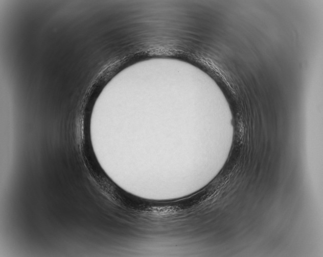 X0000095960686200802081318