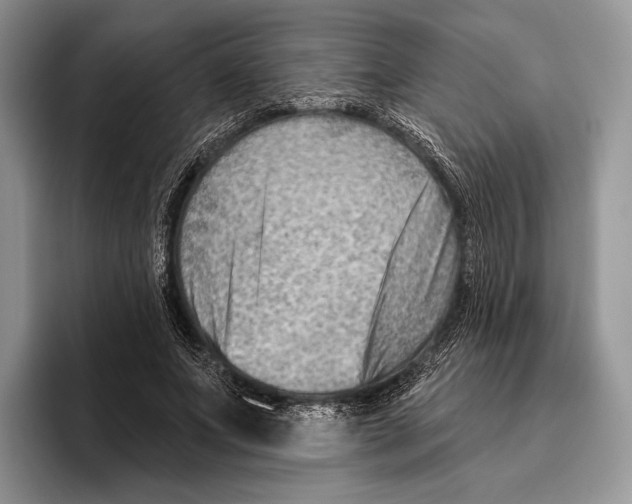 X0000095960687200802081318