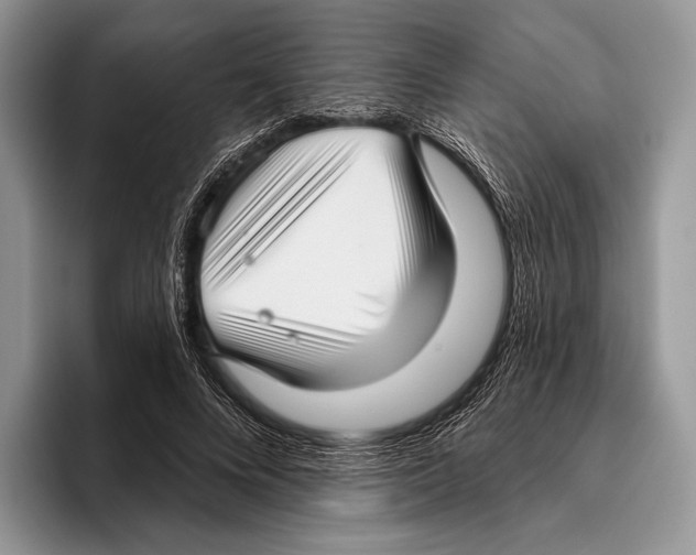 X0000095960688200802081318