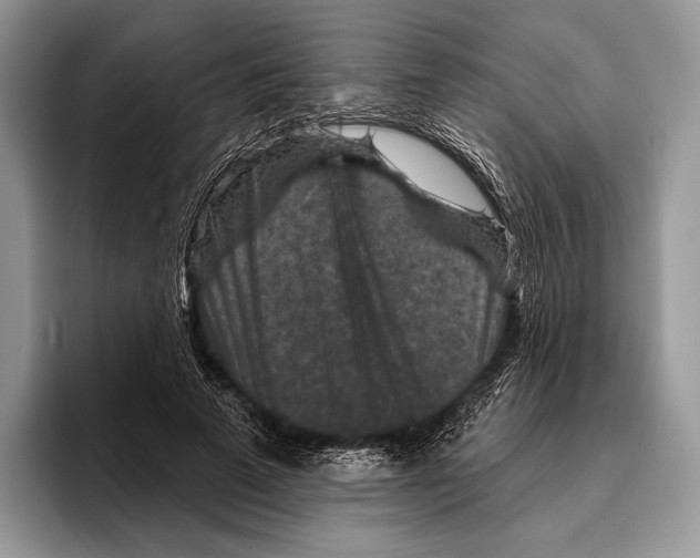 X0000095960689200802081318