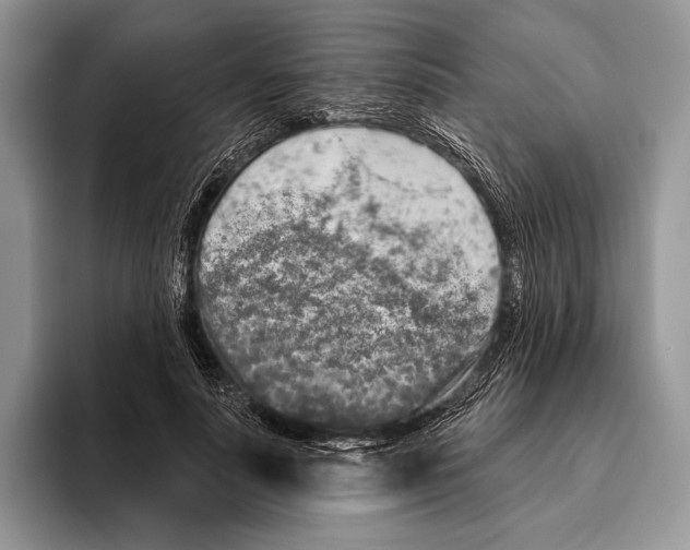 X0000095960691200802081318