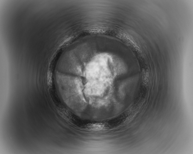 X0000095960692200802081318