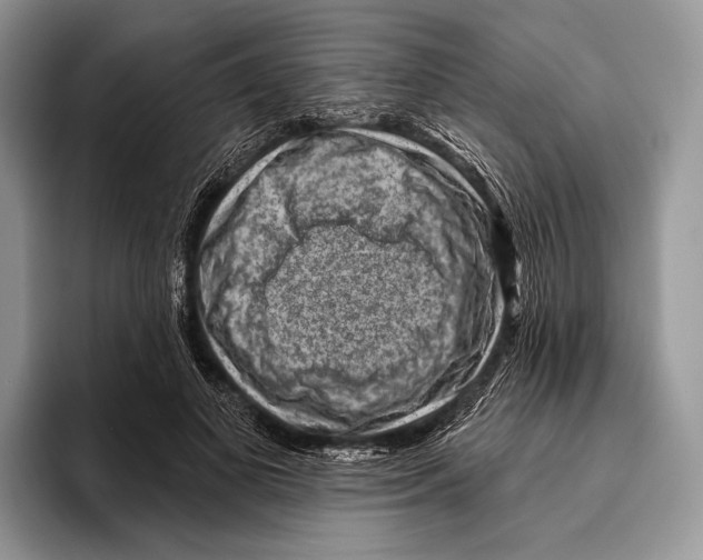 X0000095960693200802081318