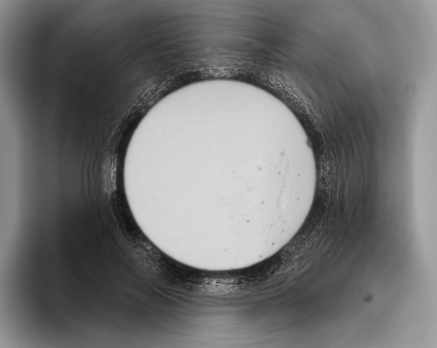 X0000095960694200802081318