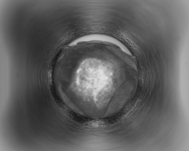 X0000095960696200802081318