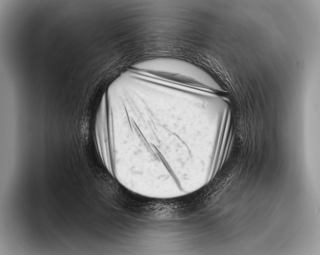 X0000095960697200802081318