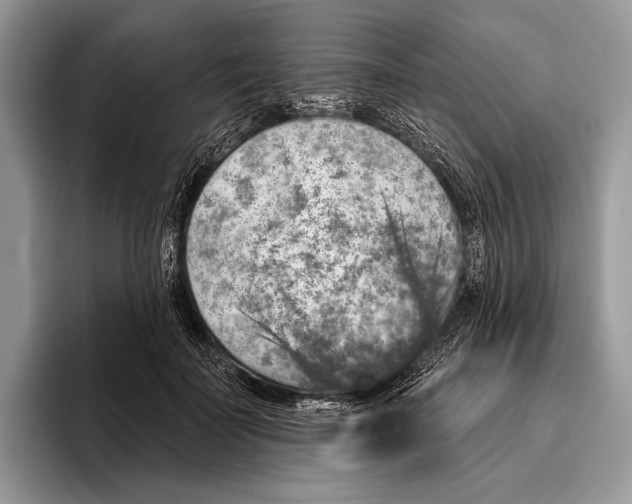 X0000095960699200802081318