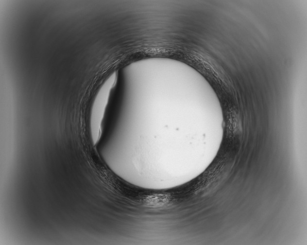 X0000095960700200802081318