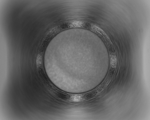 X0000095960701200802081318