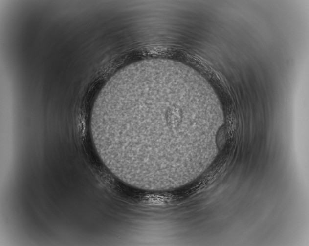 X0000095960703200802081317