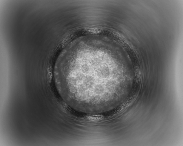 X0000095960707200802081317