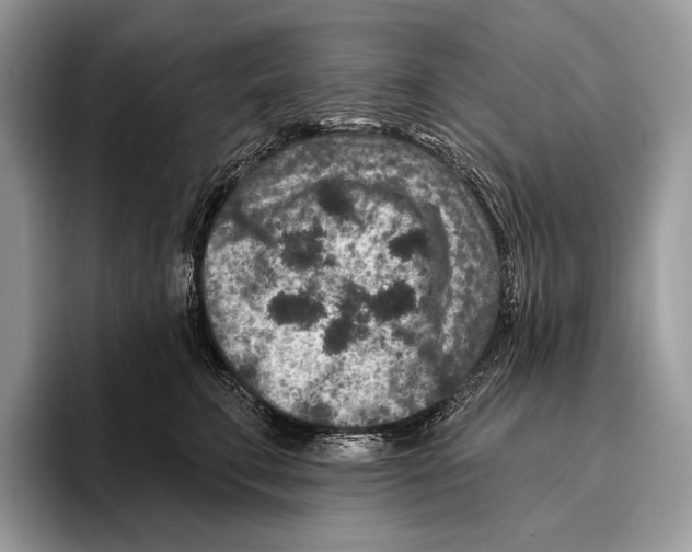 X0000095960711200802081317
