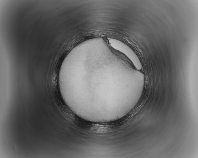 X0000095960713200802081317