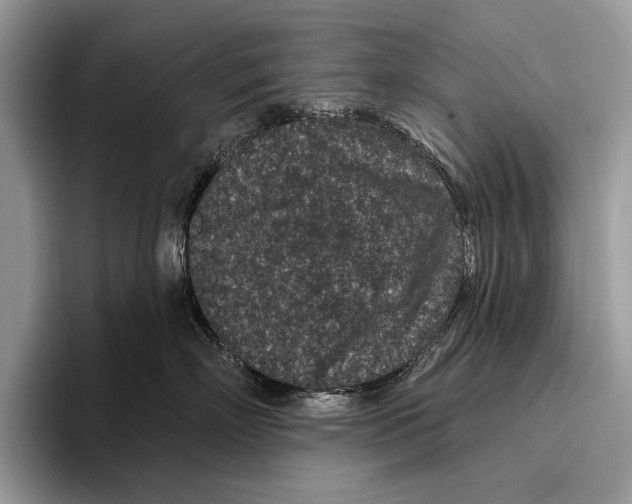 X0000095960718200802081317